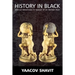 History in Black: African-Americans in Search of an Ancient Past