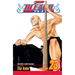 Bleach, Vol. 23