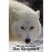 Eleven Novels by Jim Kjelgaard (complete and unabridged) including: The Spell of the White Sturgeon, The Lost Wagon, Trading Jeff and his Dog, Double