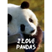 I Love Pandas Notebook