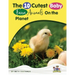 Baby Farm Animals Booklet With Activities for Kids ages 4-8