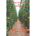 Vegetable Production in Greenhouses