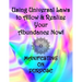 Using Universal Laws to Allow & Realize Your Abundance Now! Manifesting on Purpose