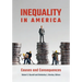 Inequality in America: Causes and Consequences
