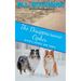 The Disappearance Cipher: a coming of age romantic suspense