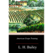 American Grape Training