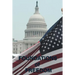 Foundations of Freedom: Common Sense, the Declaration of Independence, the Articles of Confederation, the Federalist Papers, the U.S. Constitu