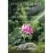 Effectual Prayer Nourished in the Heart by Christ: "Lord, teach us to pray." (Luke 11:1)
