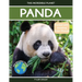 Panda: Fascinating Animal Facts for Kids