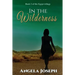 In The Wilderness: Book 2 of the Egypt trilogy