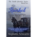 You Have Ravished My Heart: An Amish Romance Novel
