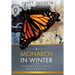 A Monarch in Winter: Biography of a Butterfly