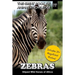 Zebras: Striped Wild Horses of Africa