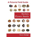 Garden Flower Seeds: A Pictorial Field Guide