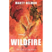 Wildfire: The End of the Road