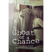 A Ghost of a Chance: The Haunting of Detective Tory Alston