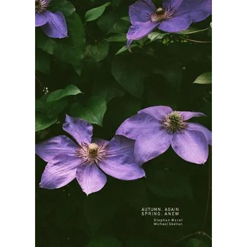 Autumn, Again; Spring, Anew: A Poem