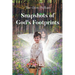 Snapshots of God's Footprints