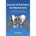 Secrets of the Pelvis for Martial Arts: A Practical Guide for Improving Your Wujifa, Taiji, Xingyi, Bagua and Everyday Life