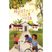 A Mystery at Lili Villa