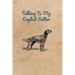 Talking To My English Setter