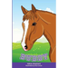 Buddy: the Special Chestnut Horse