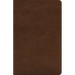 ESV Spanish/English Parallel Bible (La Santa Biblia Rvr 1960 / The Holy Bible Esv, Trutone, Brown)