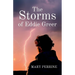 The Storms of Eddie Greer