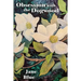 Obsession with the Dogwood