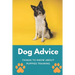 Dog Advice: Things To Know About Puppies Training: How To Start Training My Puppy