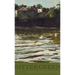 Bitter Green