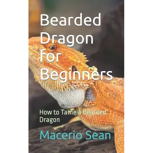 Bearded Dragon for Beginners: How to Tame a Bearded Dragon