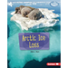 Arctic Ice Loss