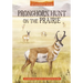 Pronghorn Hunt on the Prairie