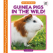 Guinea Pigs in the Wild!