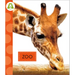 Zoo