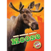 Moose