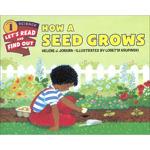 How a Seed Grows