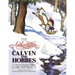 Authoritative Calvin and Hobbes