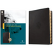 NLT Courage for Life Study Bible for Men, Filament Enabled (Leatherlike, Onyx Lion, Indexed)