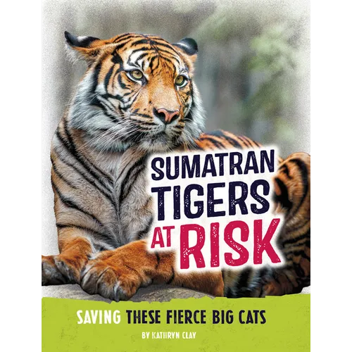 Sumatran Tigers at Risk: Saving These Fierce Big Cats - Paperback