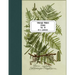 Vintage Prints: Ferns: Vol. 10
