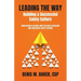 Leading the Way Building a Successful Safety Culture: From Vision to Action-How You Build a Resilient and Successful Safety Culture