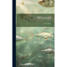 Whales