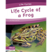 Life Cycle of a Frog