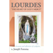 Lourdes - "The Heart of God's Mercy": Accounts and reflections of a pilgrim