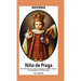 Novena De Niño De Praga para Recuperar la Paz en Negocio, Empleo, Hogar; en la Pareja y en Todo Lugar