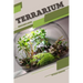 Terrarium: Beginner's Guide