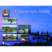 Chincoteague Island