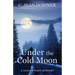 Under the Cold Moon